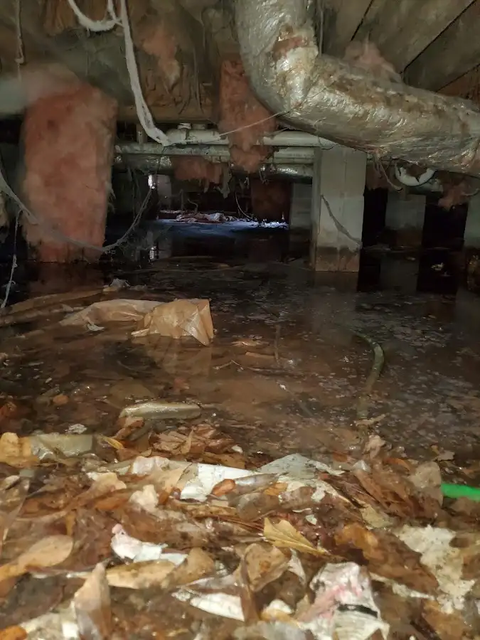 Crawl space flood assessment for Leak Detection & Repair in Durango
